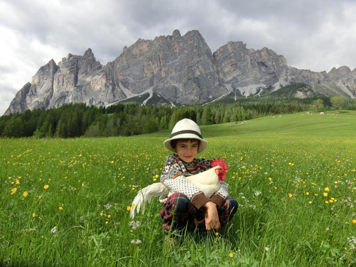 Partel Loudge Apartment Cortina d'Ampezzo Exterior photo